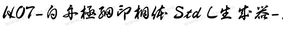 HOT-白舟極細印相体 Std L生成器字体转换